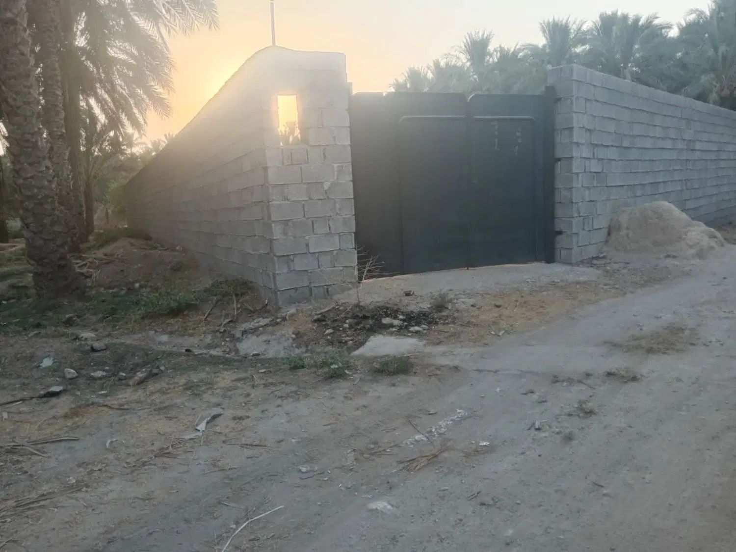 فروش زمین ۴۰۰متری دالکی