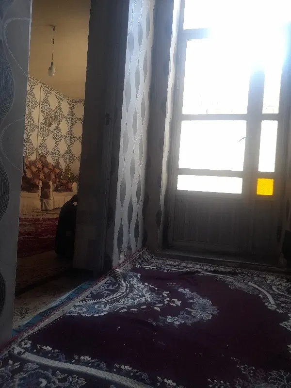 حیاط