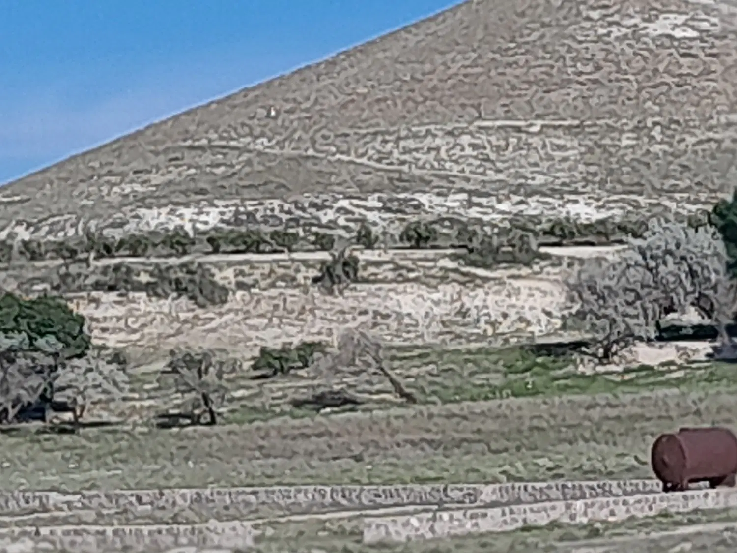 زمین ۱۰۰۰ متر
