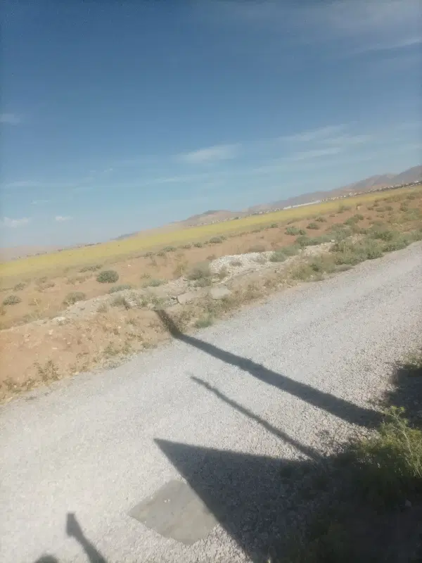 زمین باغی بر آسفالت دره ریز