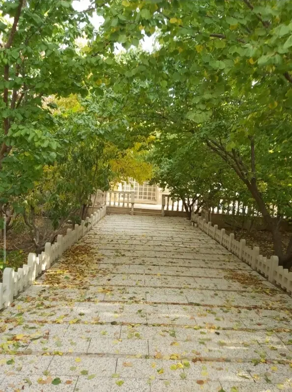 باغ همه چیز تموم