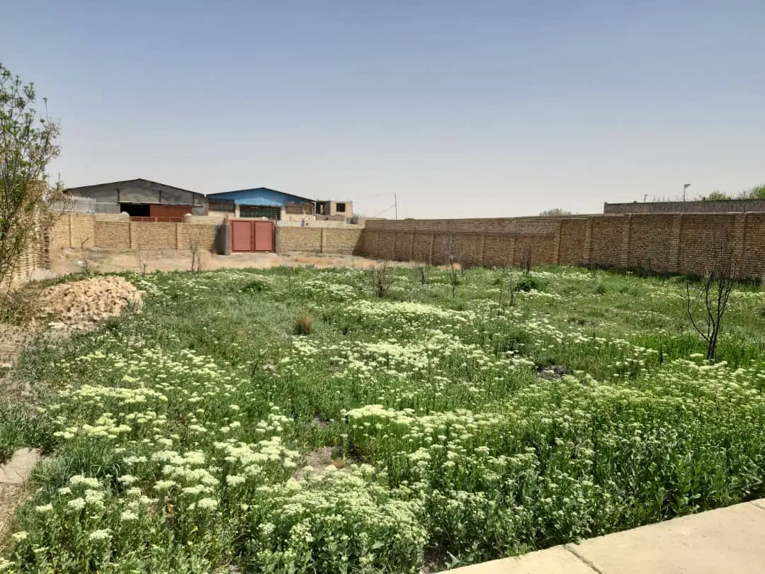 رهن و اجاره زمین خالی دور دیوار