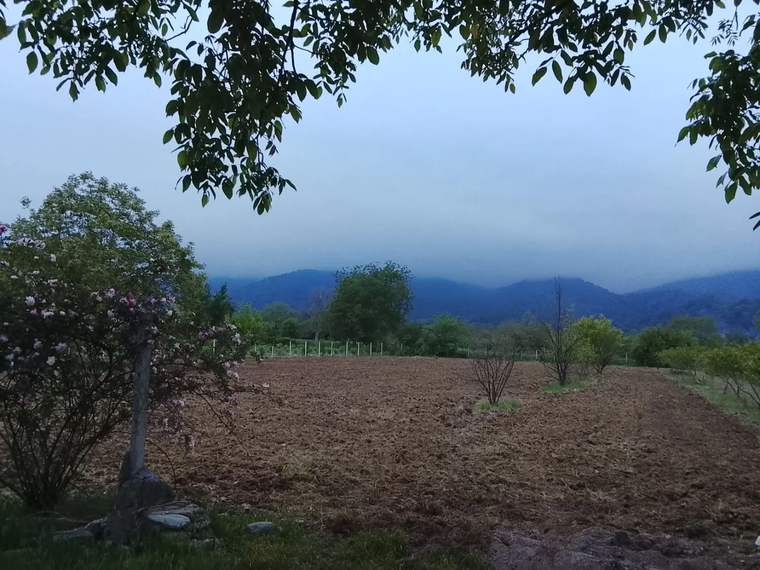 زمین باغی روستای سرکلاته خرابشهر