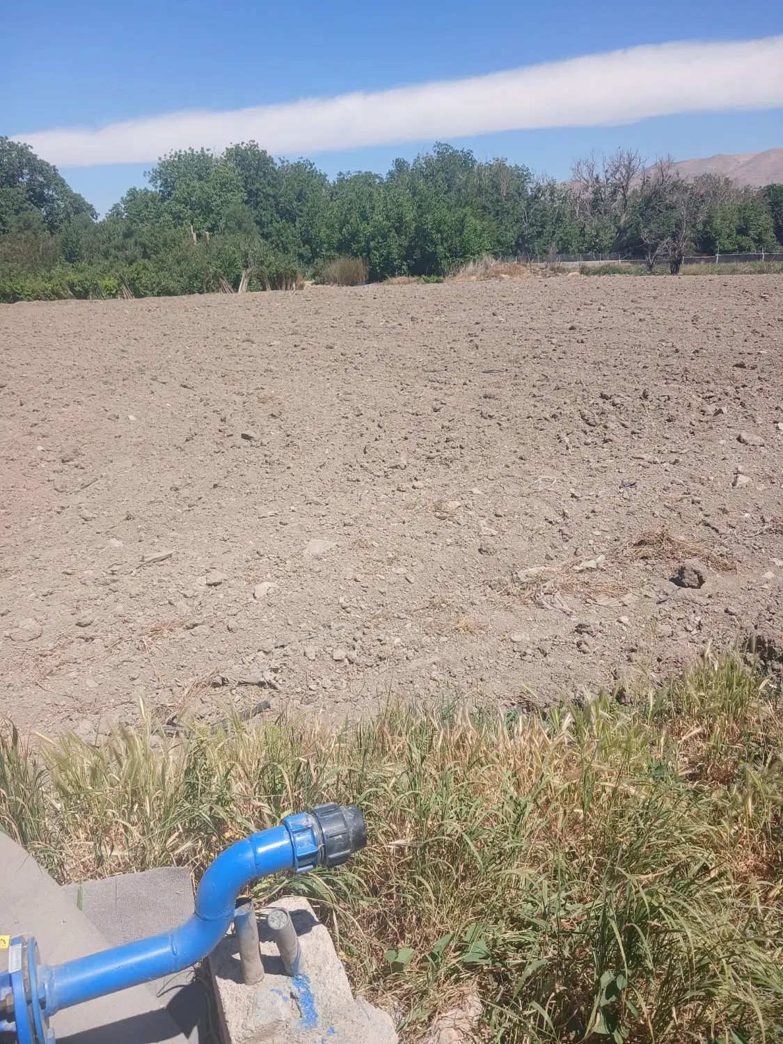 ۸۰۰۰ متر زمین با مجوز گلخانه