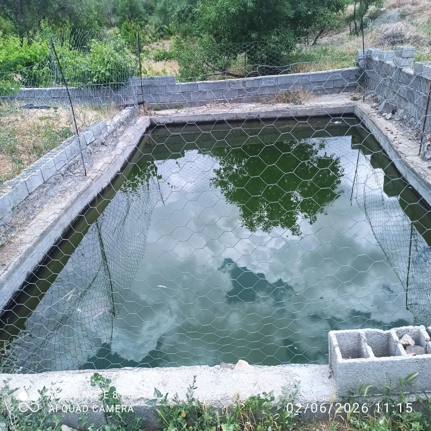 باغ فروشی حاشیه جاده محمودی به روئین