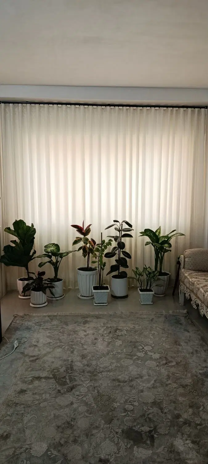 خونه ۵۰متری