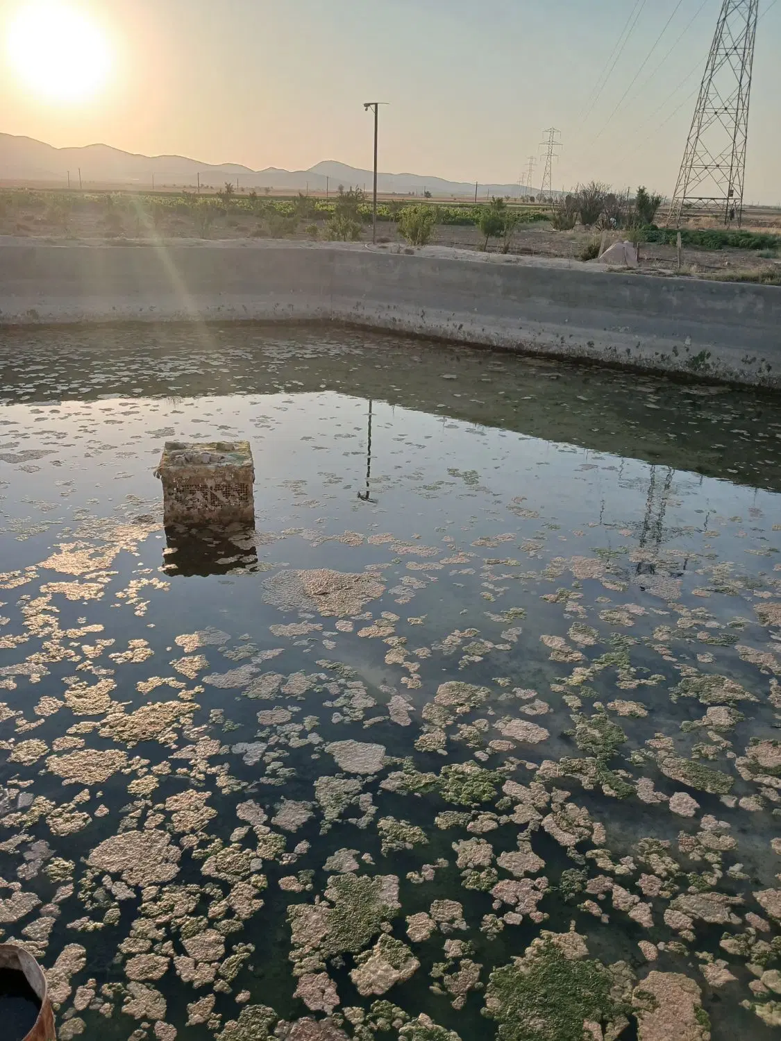 سلام ۱۰ ساعت آب با ۱هکتار زمین.