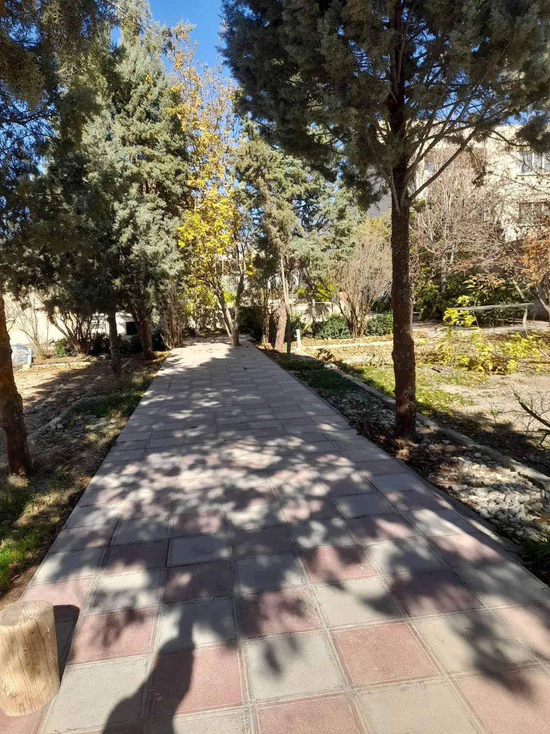 ویلایی ۲۲۵۰ متری شهرک ناز