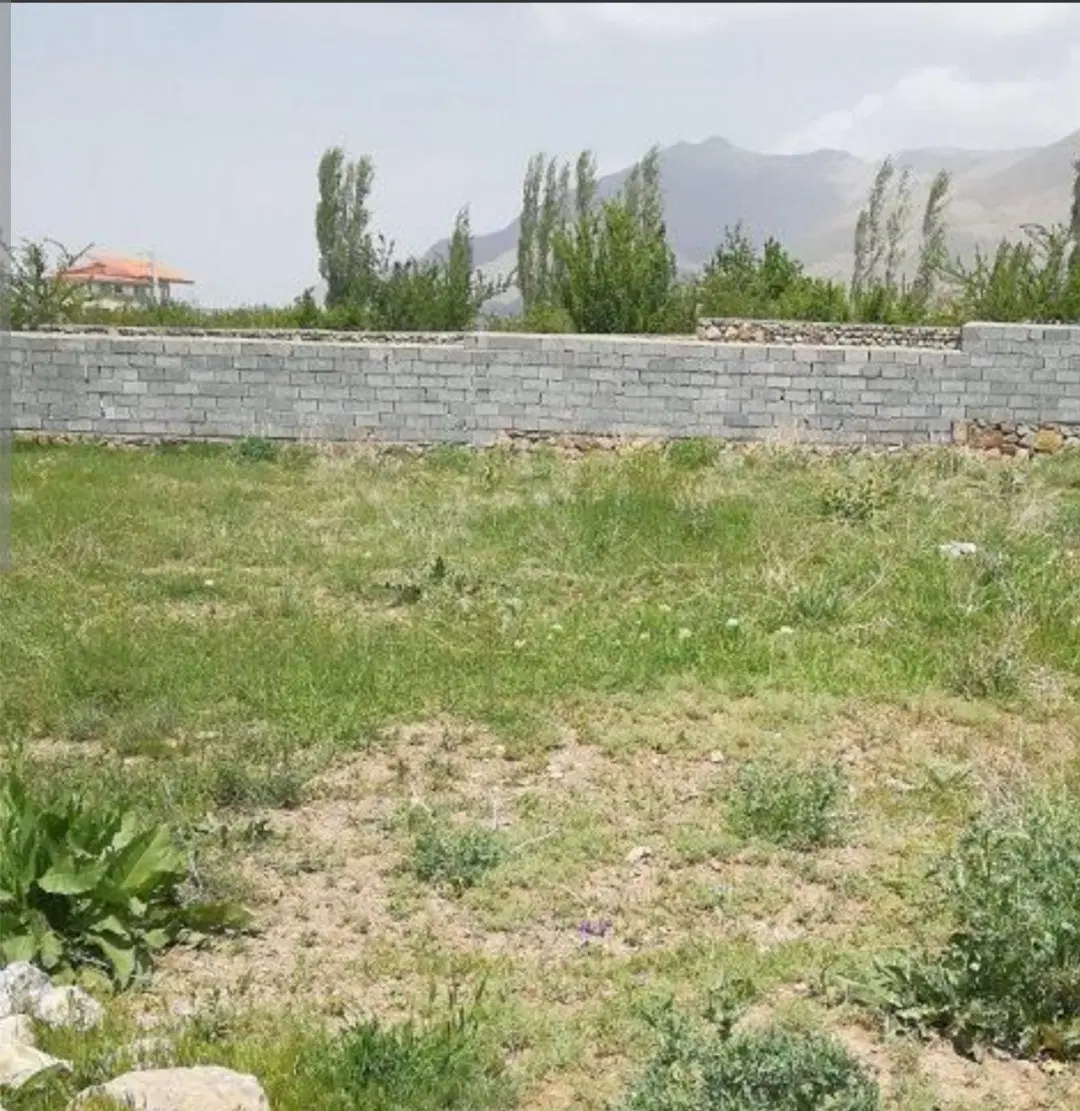زمین فروشی مسکونی پالیز