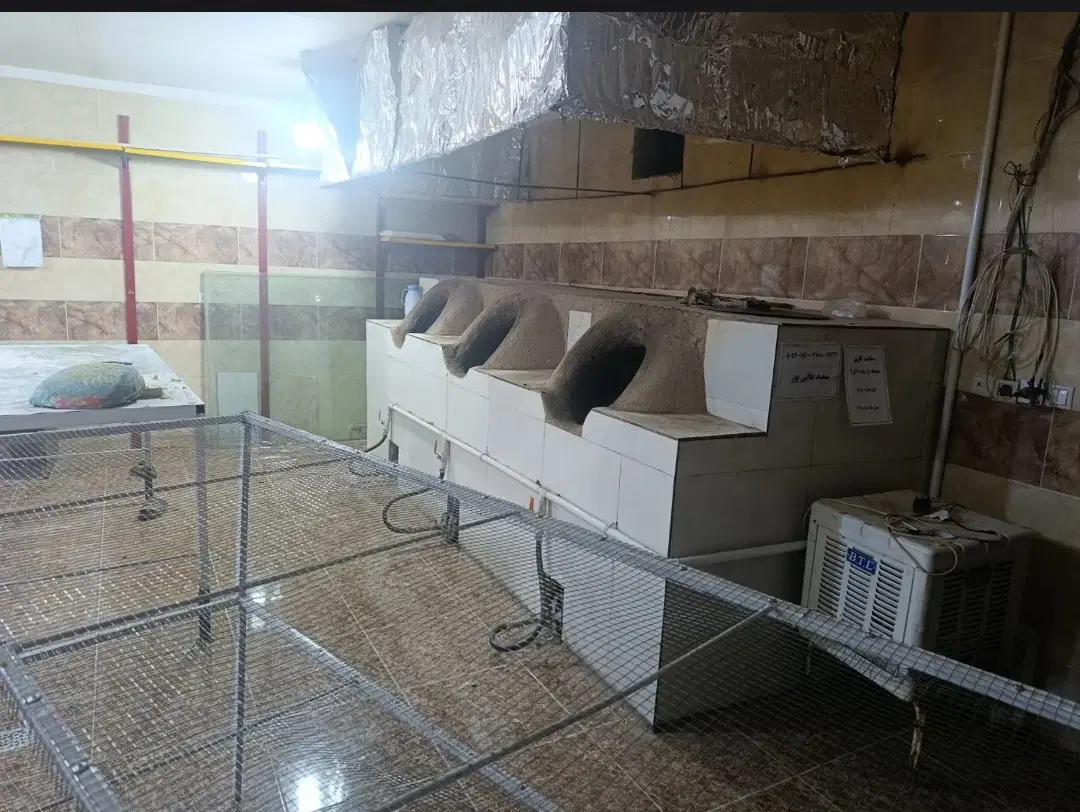 فروش نانوایی، بر جاده اصلی، با امتیاز دولتی