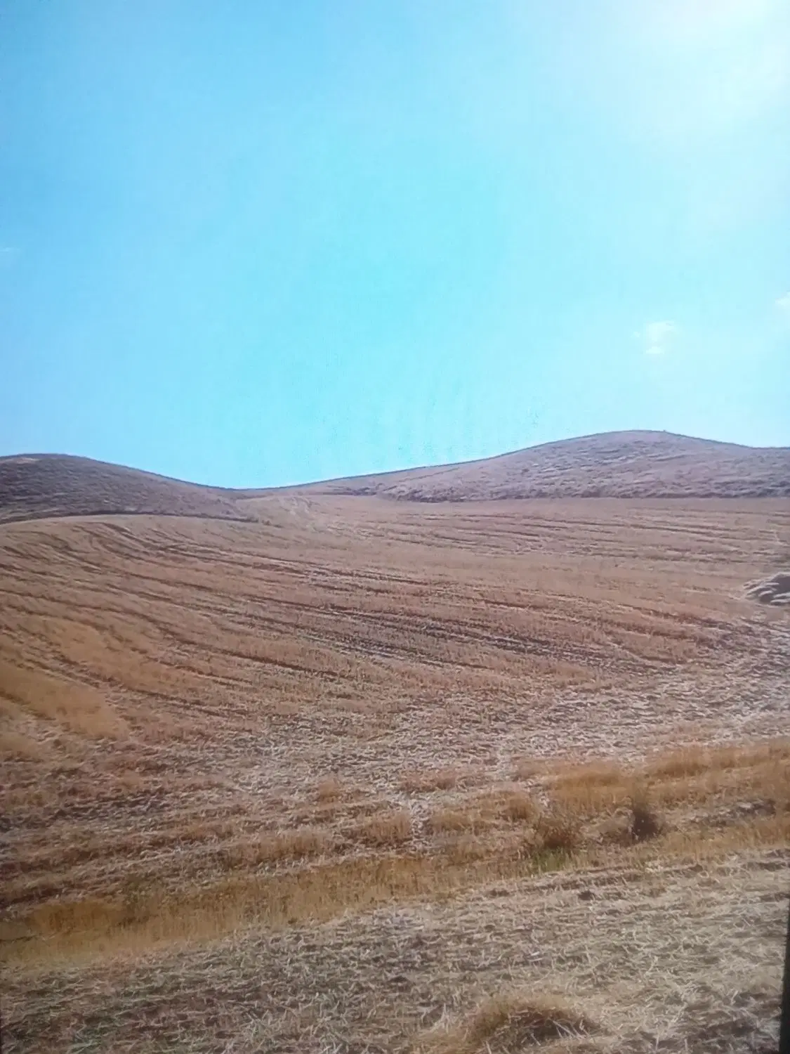 زمین کشاورزی