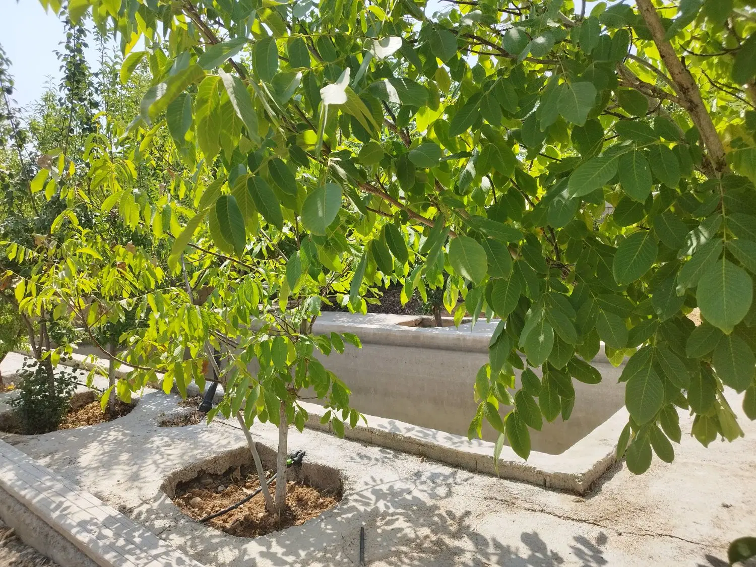 فروش باغشهر کوهمره سرخی خانه خمیس