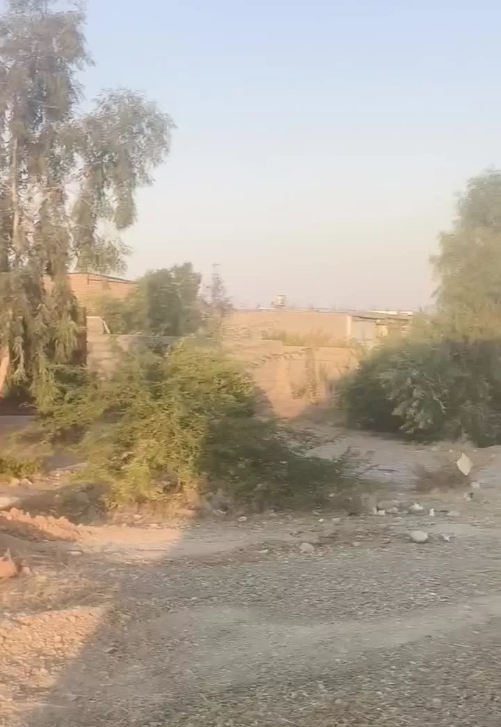 زمین  باغی با قابلیت تجاری