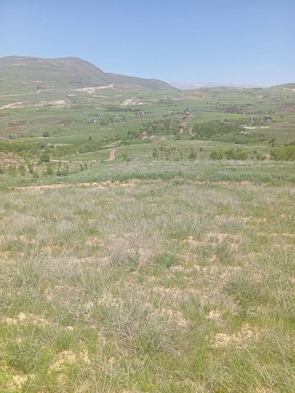 فروش ی قطعه زمین زرشک