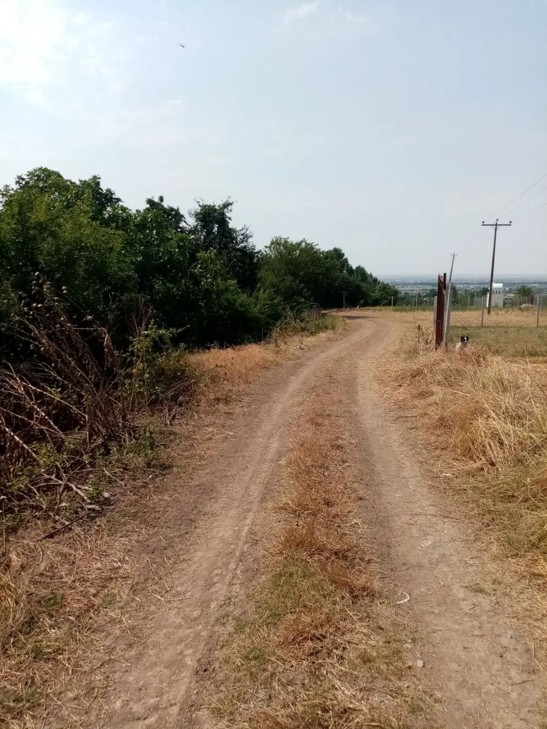 زمین ،۴۰۰متر،روستای شموشک سفلی