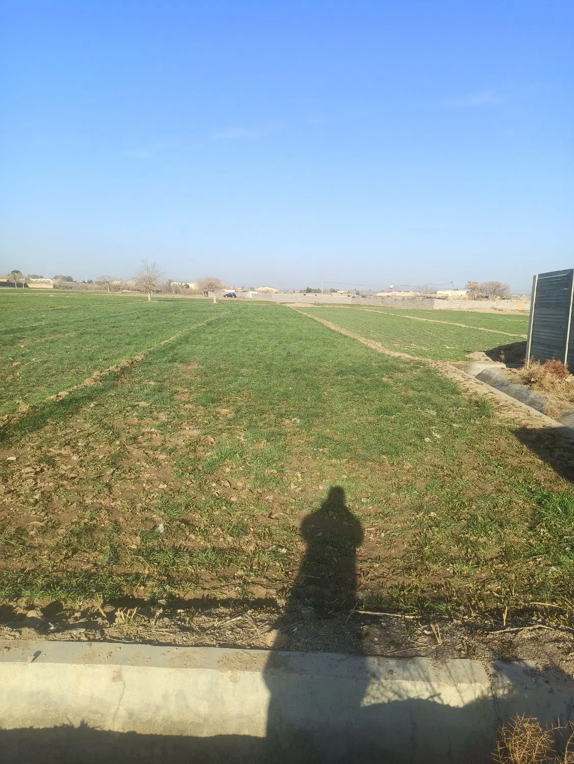 زمین کشاورزی
