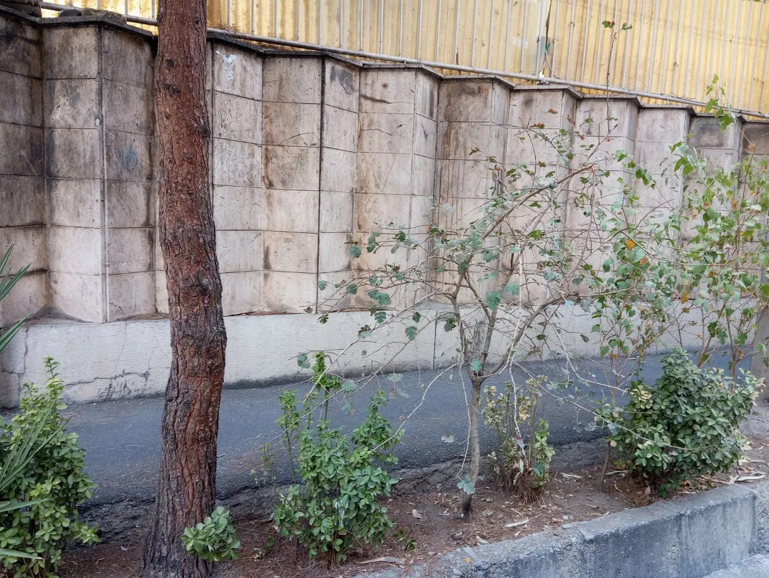 کلنگی با پروانه ساخت