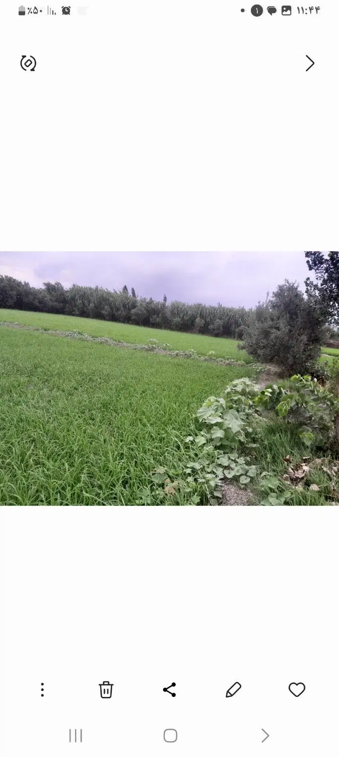 زمین فروشی روستای اوجابن