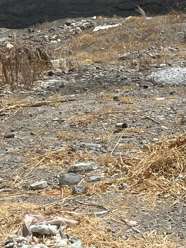 زمین مسکونی