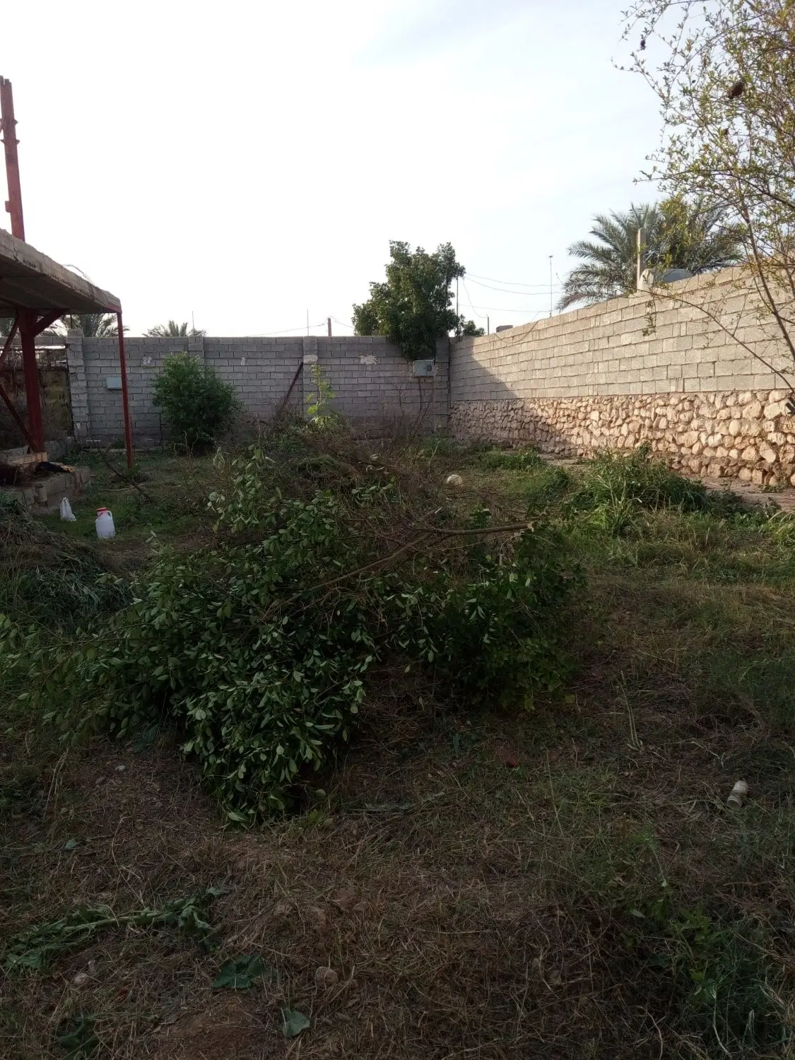زمین مسکونی روستای شهرویی
