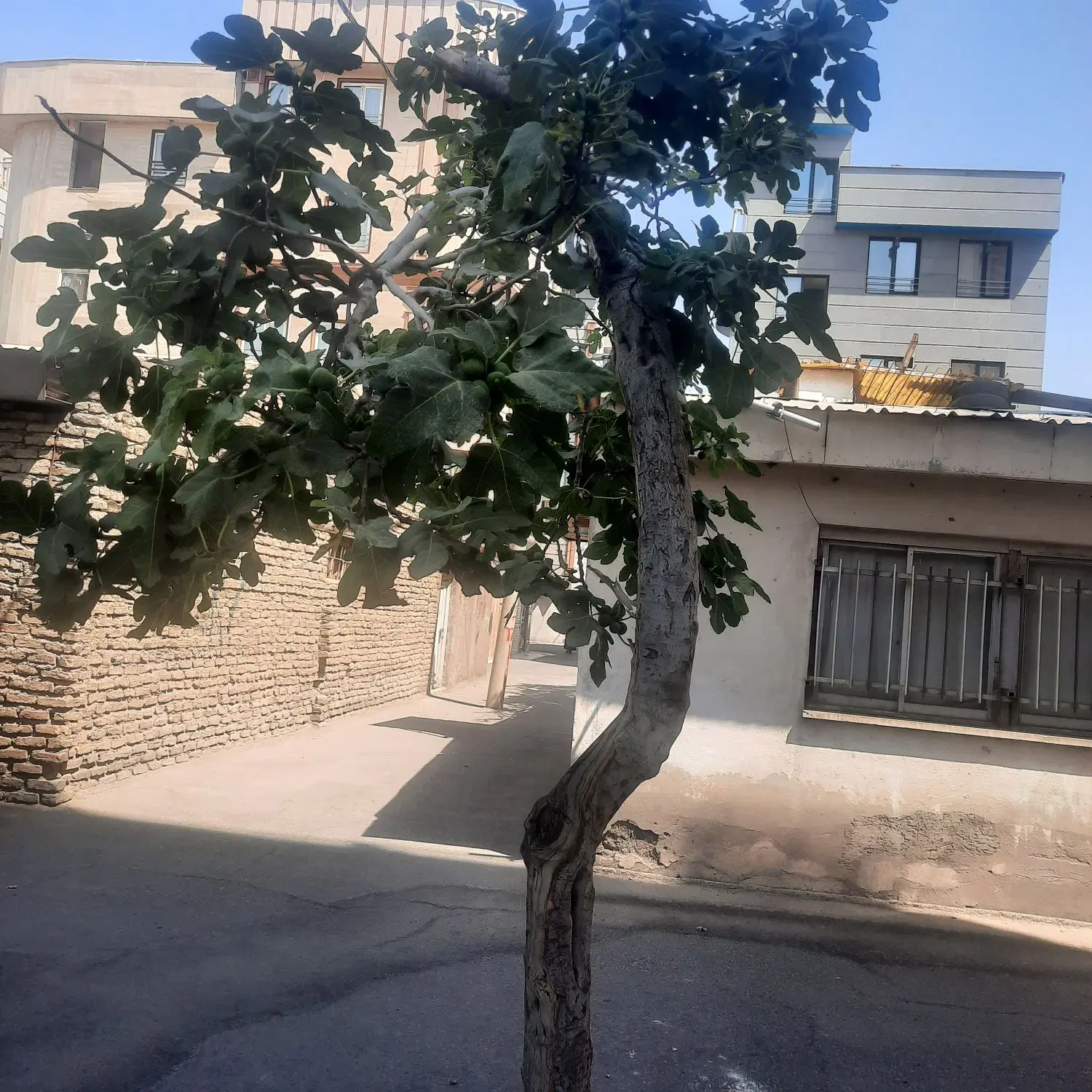 فروشی فوری  شهرک مرتضی گرد