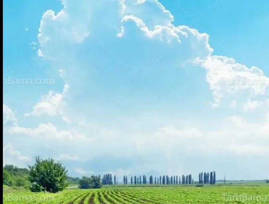 نیم جفت زمین کشاورزی در روستای رحمان آباد