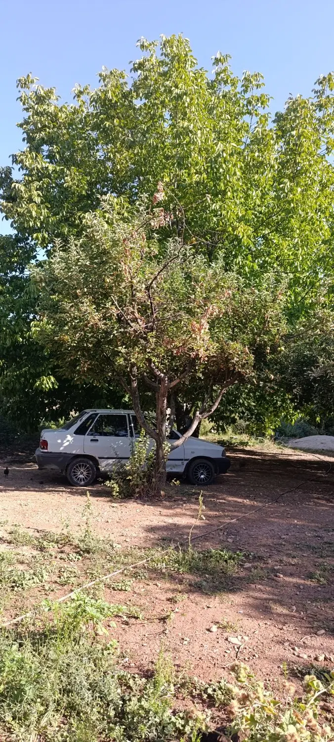 فروش زمین با خانه کلنگی