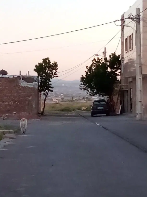 زمین مسکونی ۱۰۰متر اناخاتون