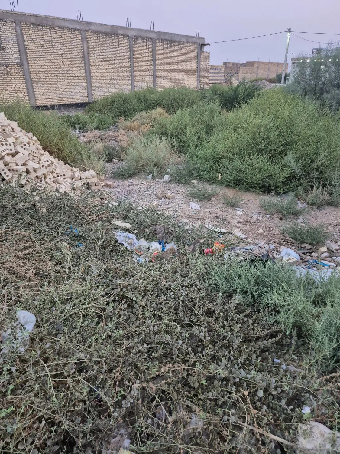زمین دونه