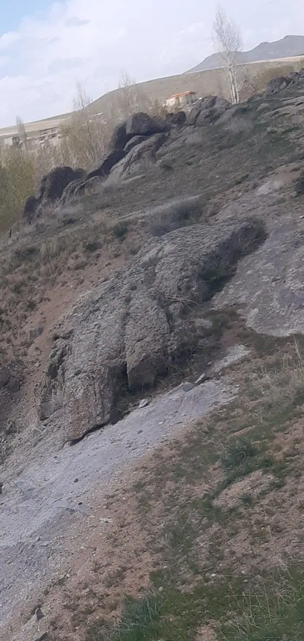 زمین باغی سه هکتار فروشی