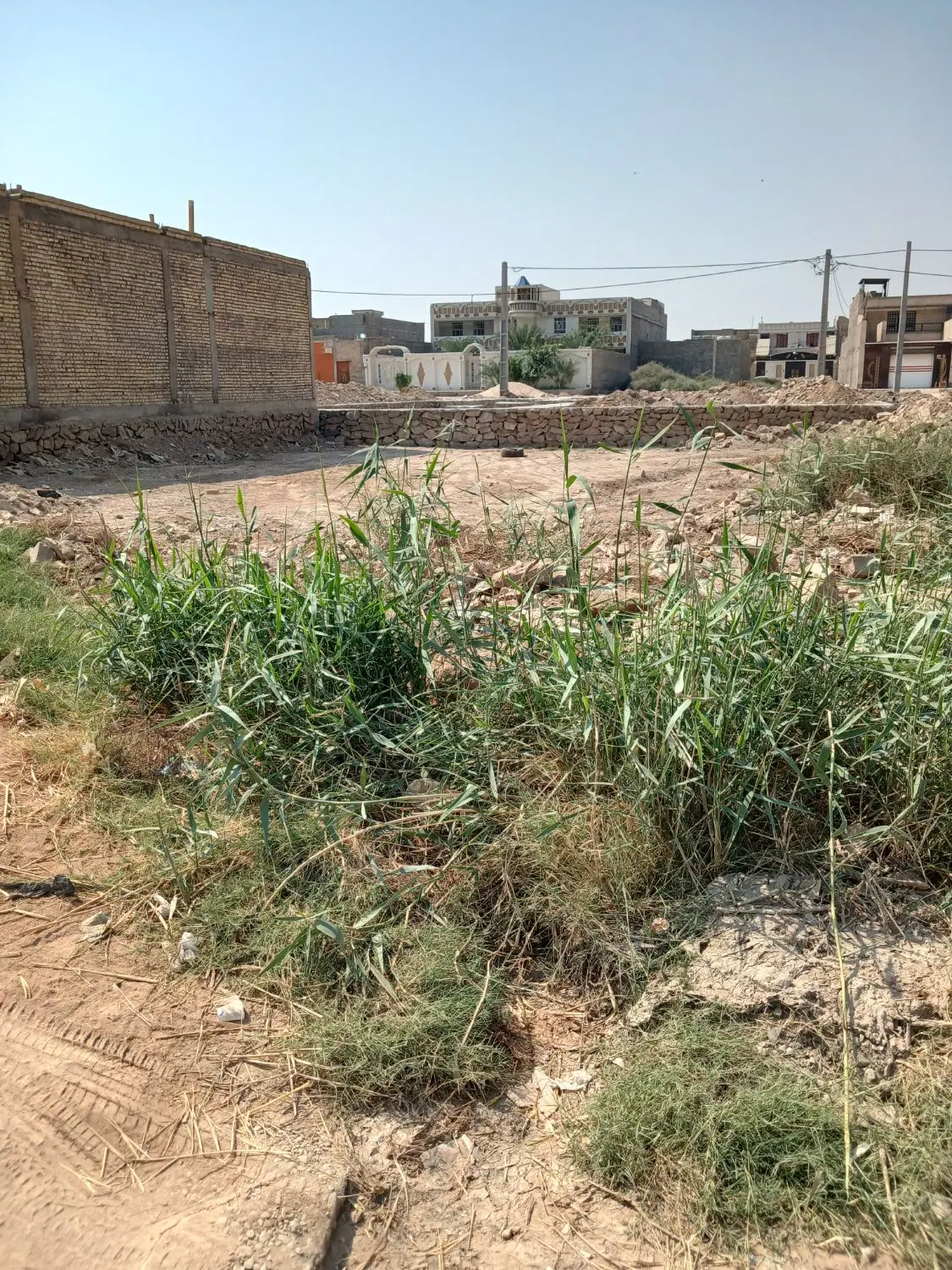 زمین در کوی نخلستان