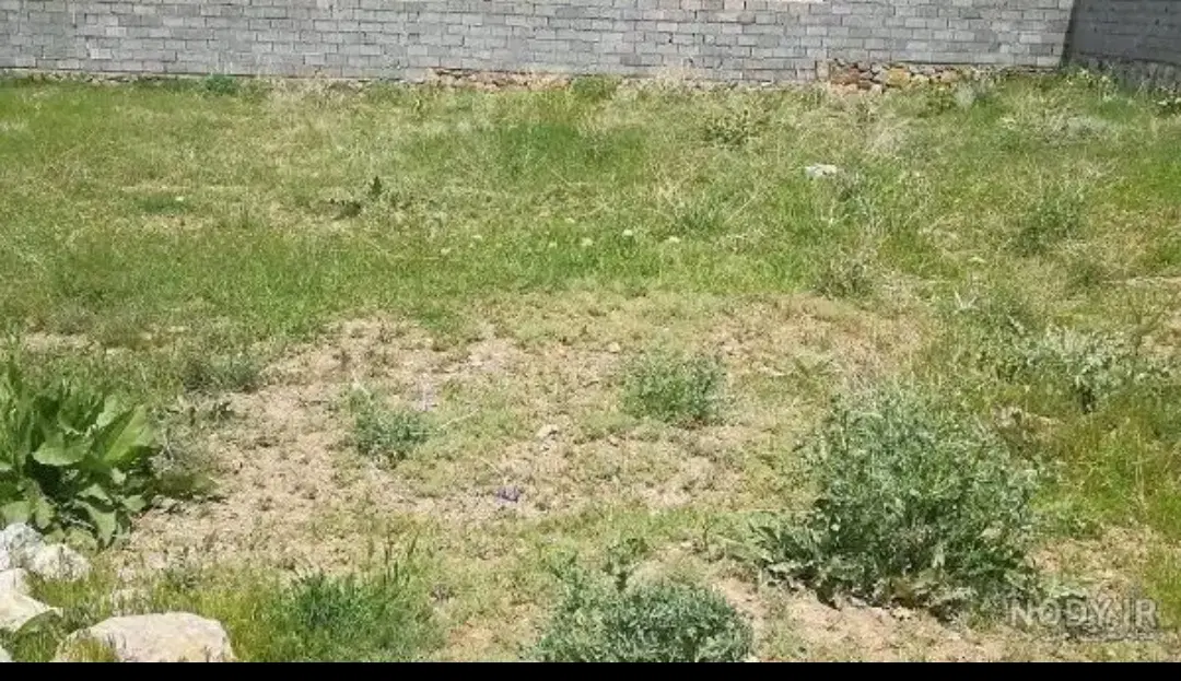 فروش سیصد متر زمین