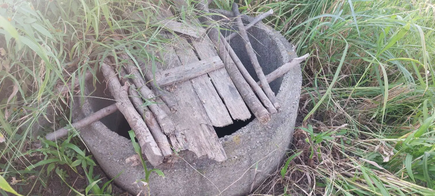 فروش زمین کشاورزی در رودسر،روستای مردابسر