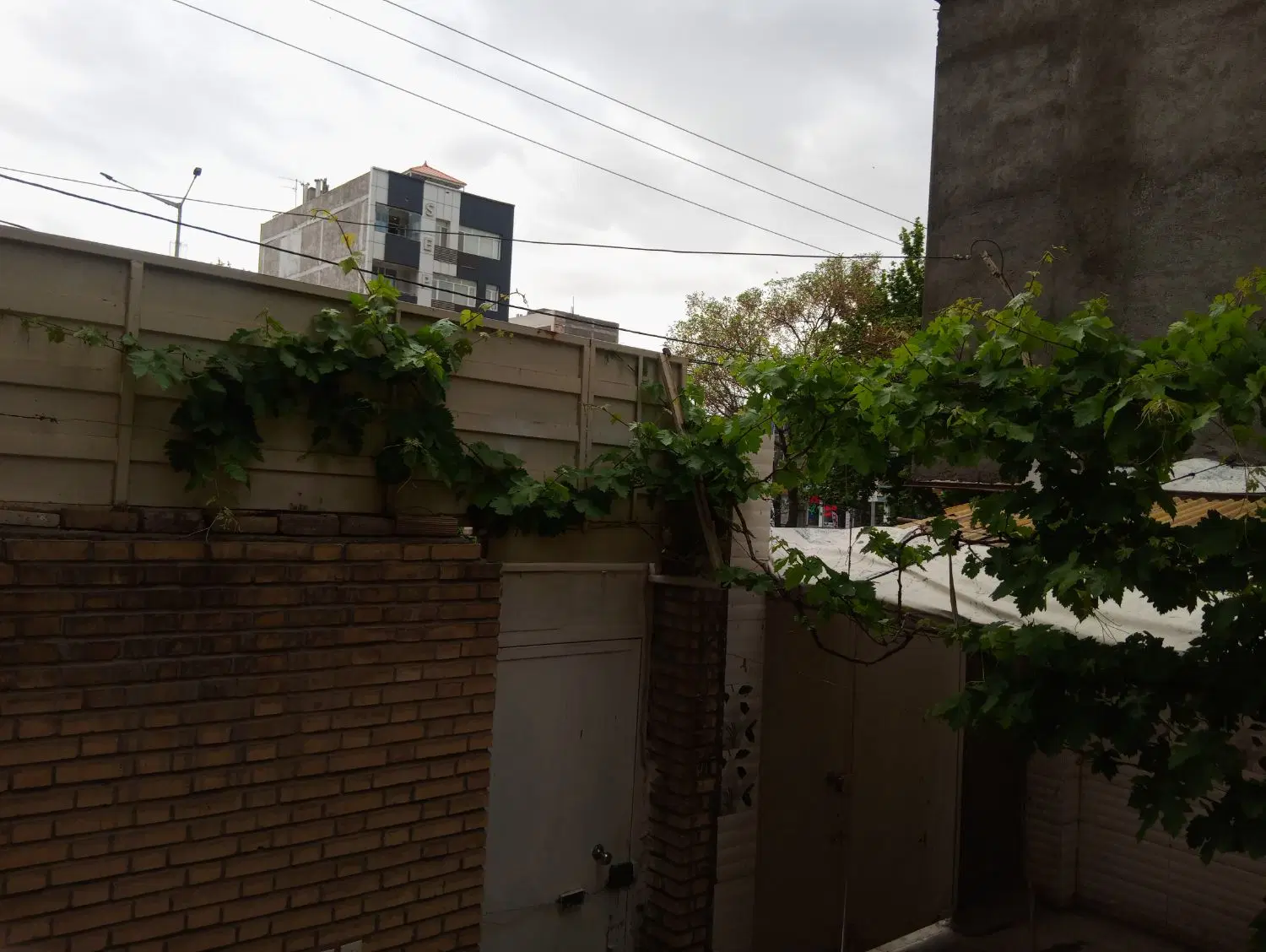 کارگاه حاشیه خیابان شایسته