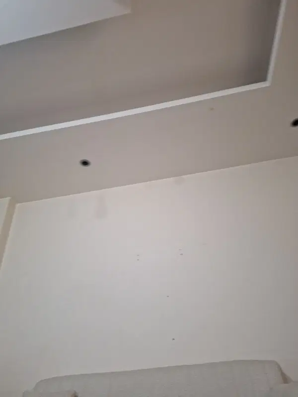 اجاره یک باب مغازه