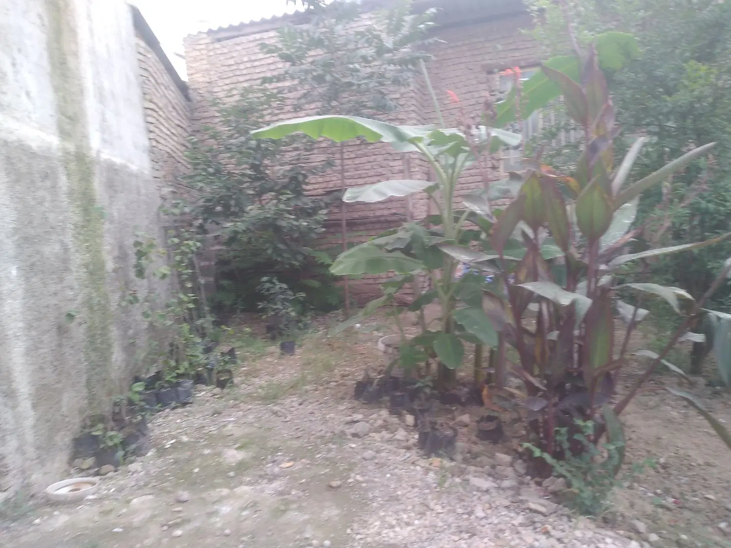 حدودی۲۰۰متری