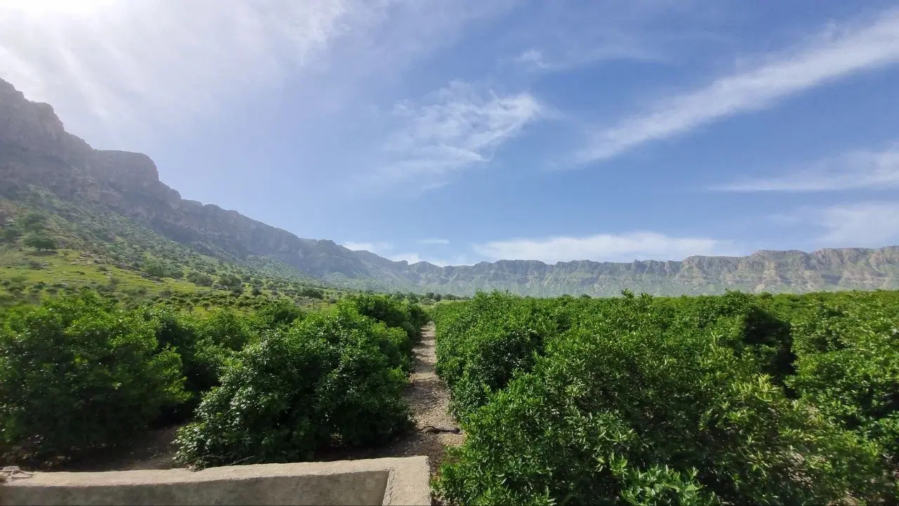 فروش باغ ۵۲ هزار متری شهرستان کازرون تنگ چوگان