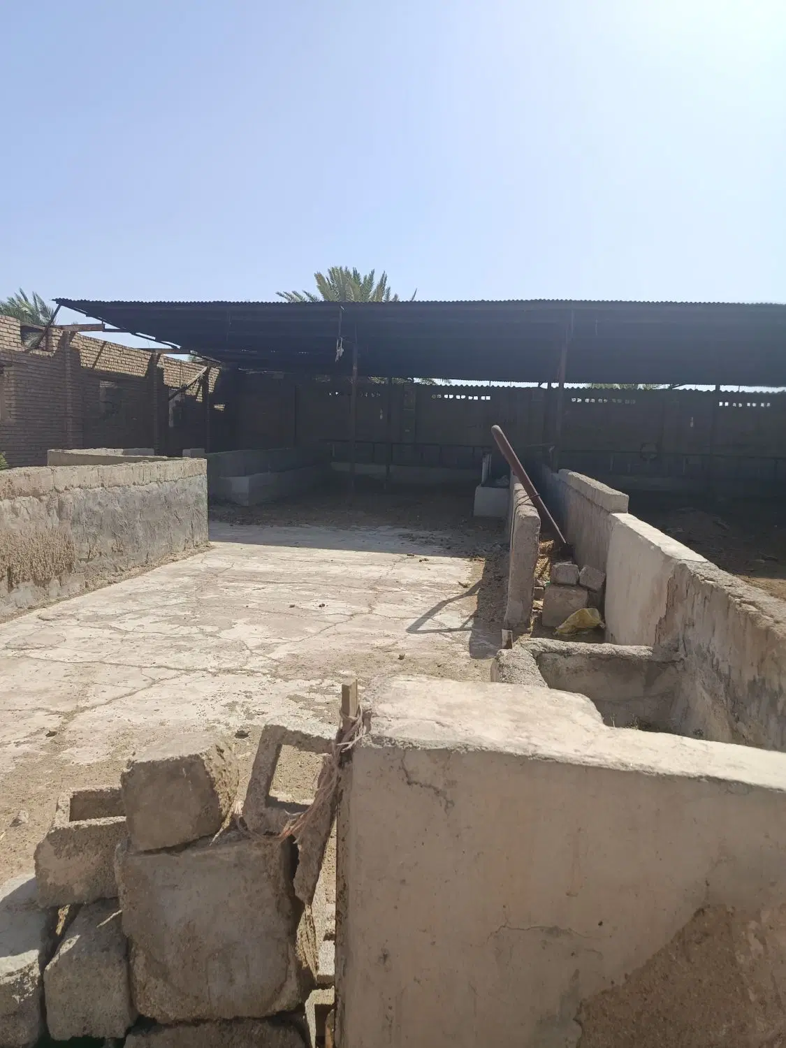 اجاره دامداری