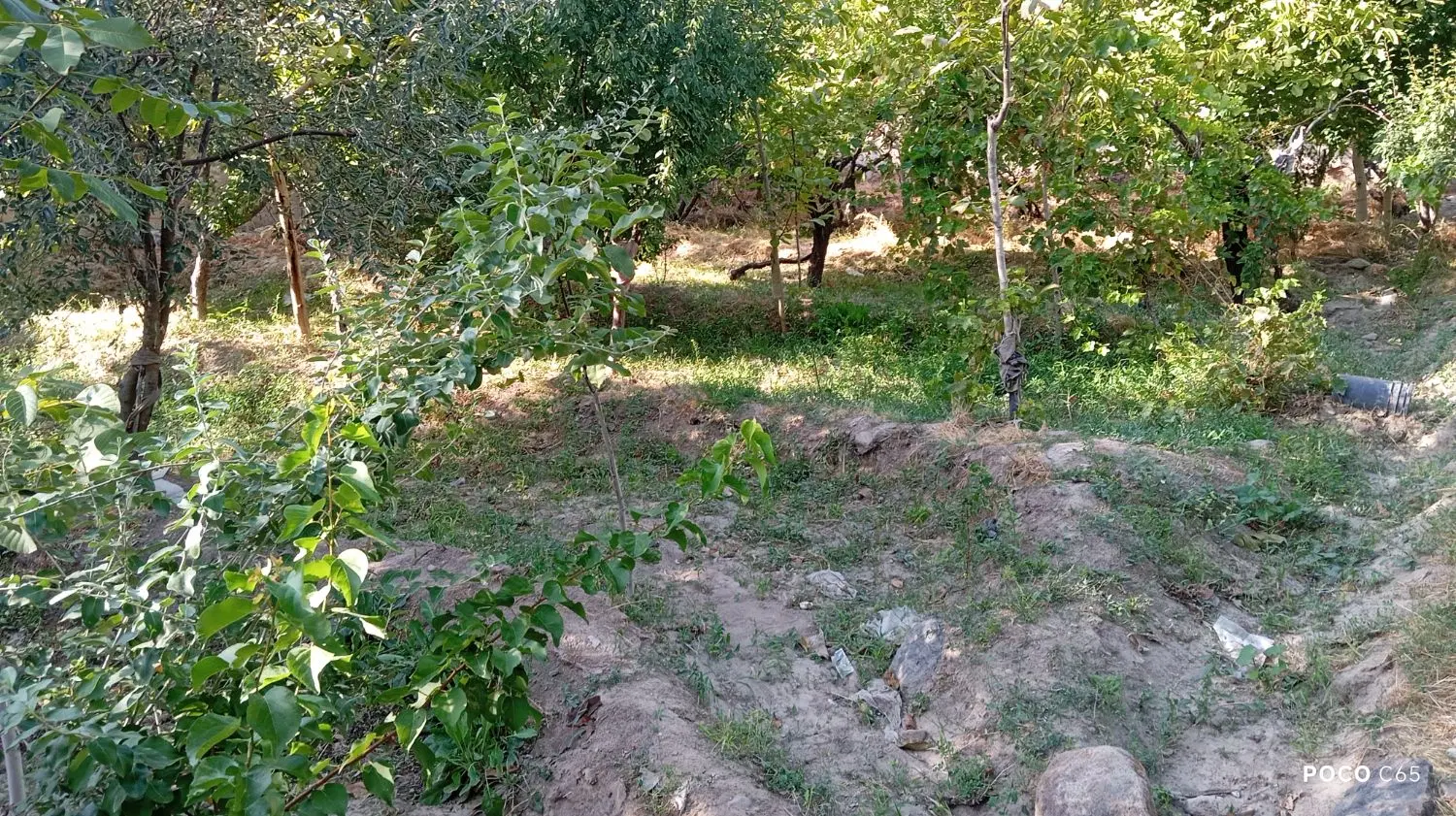 باغ وقطعه زمین۳۱۰مترخلجان برجاده
