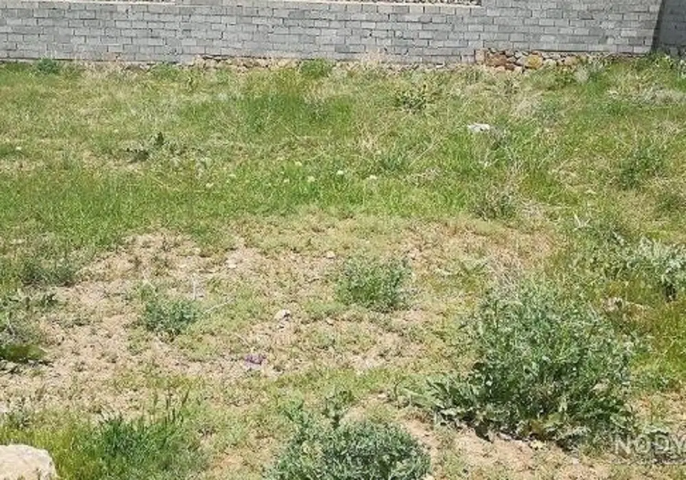 زمین 200 متری مسکونی