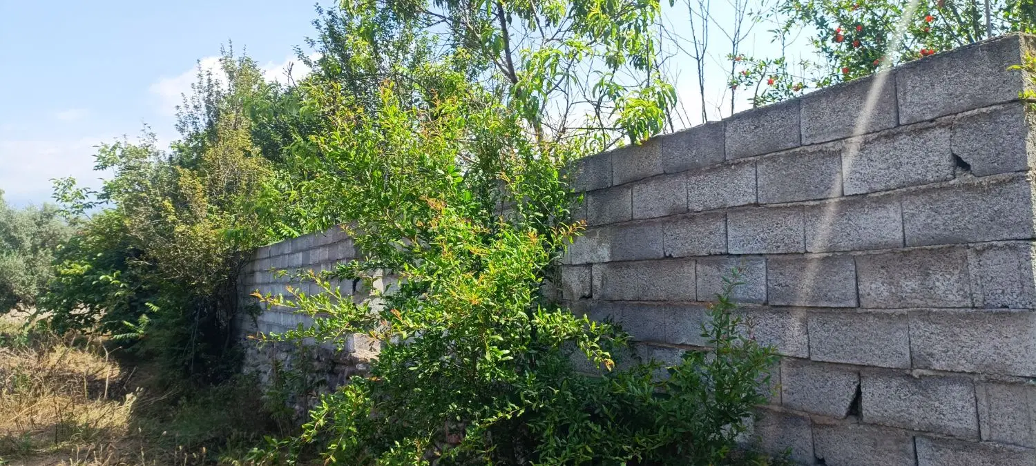 زمین کشاورزی