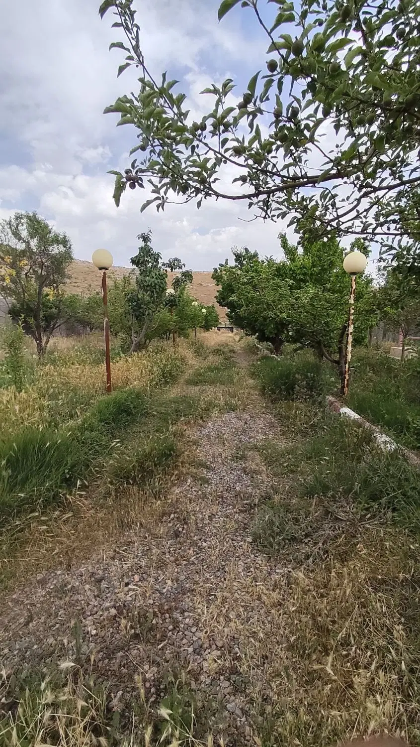 ۲۰۰۰ متر باغ دارای ۱۵۰ اصله درخت و نهال