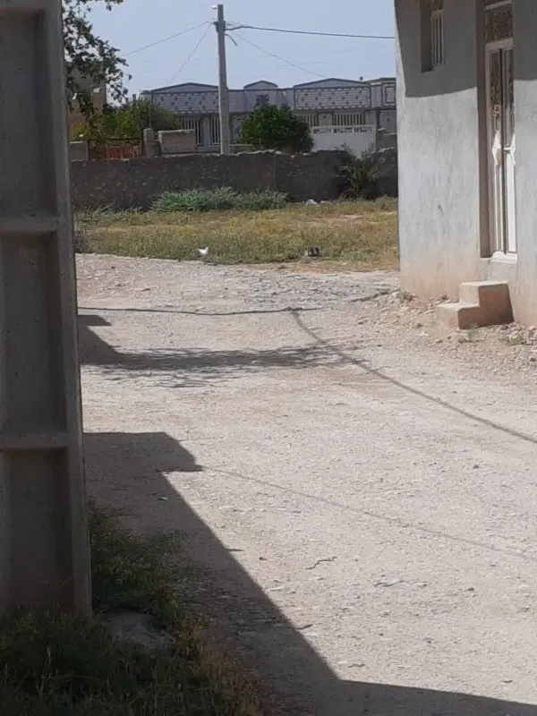 فروش ۴۰۰ متر زمین در منطقه مسکونی روستای مهرنجان