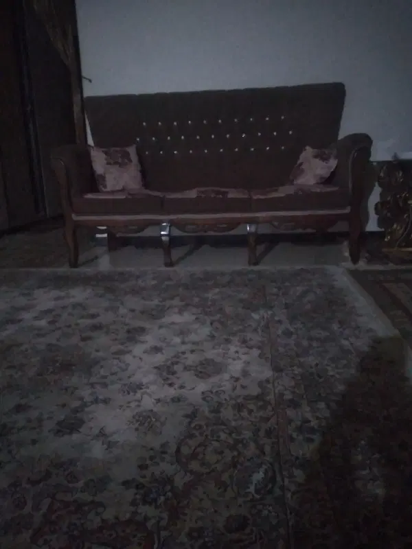 همخونه خانم ،