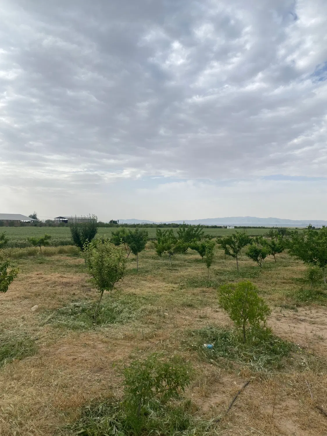 باغچه ۵۰۰ متری