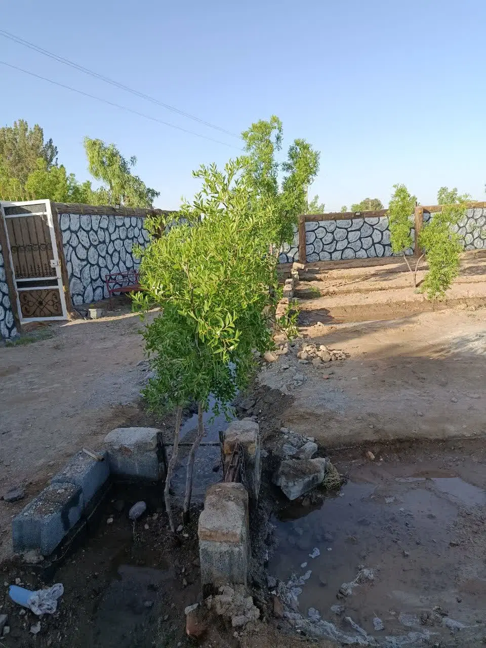 باغ ویلا جهت سرمایه گذاری