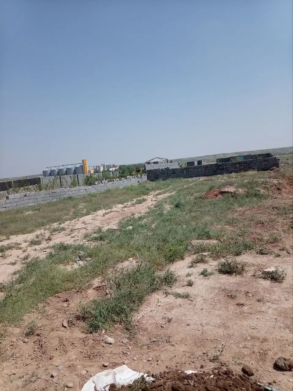 زمین  باغی زیر فی