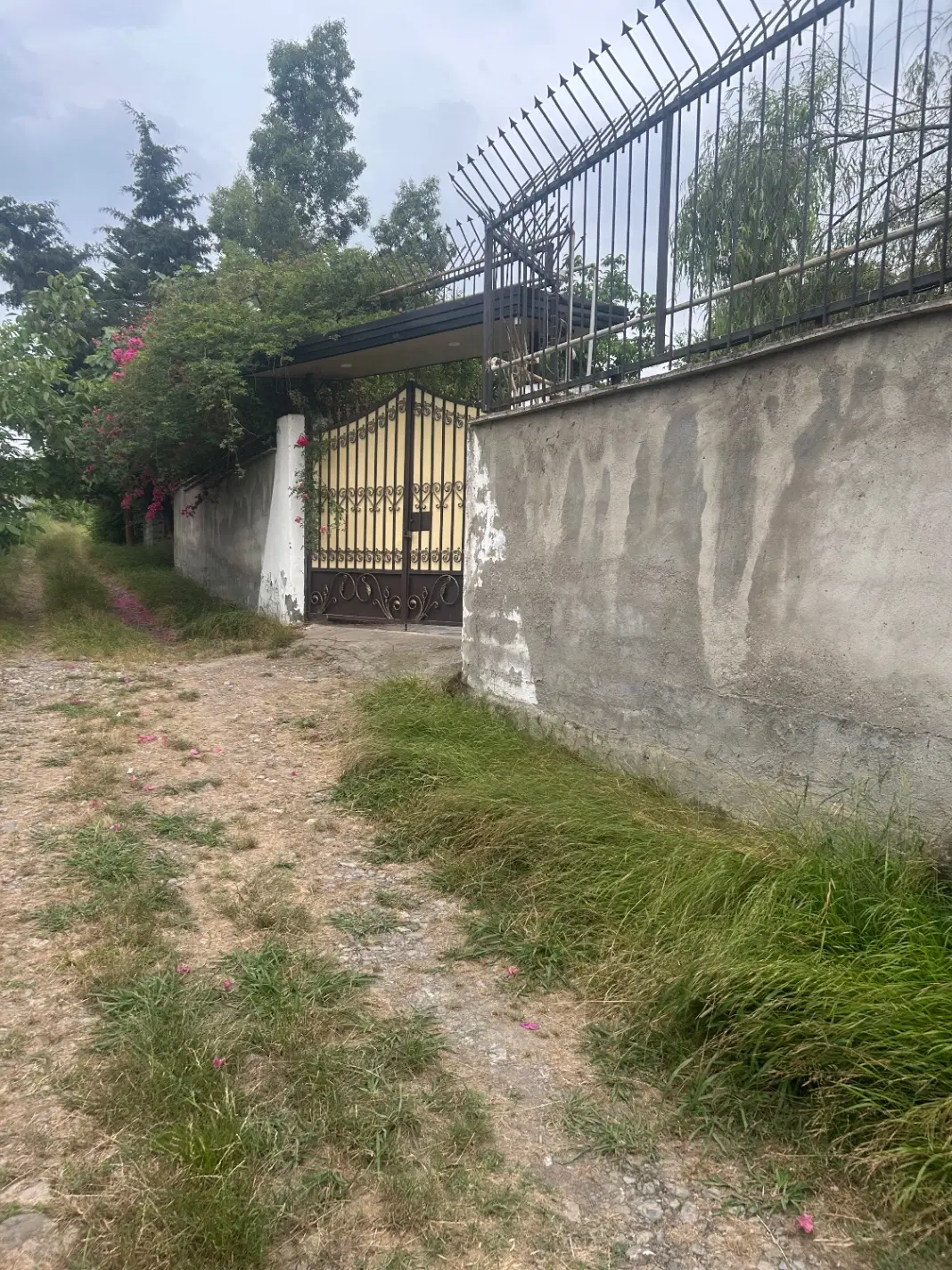 زمین ۳۰۰ متری با امکانات برق ابو گاز بزجفت