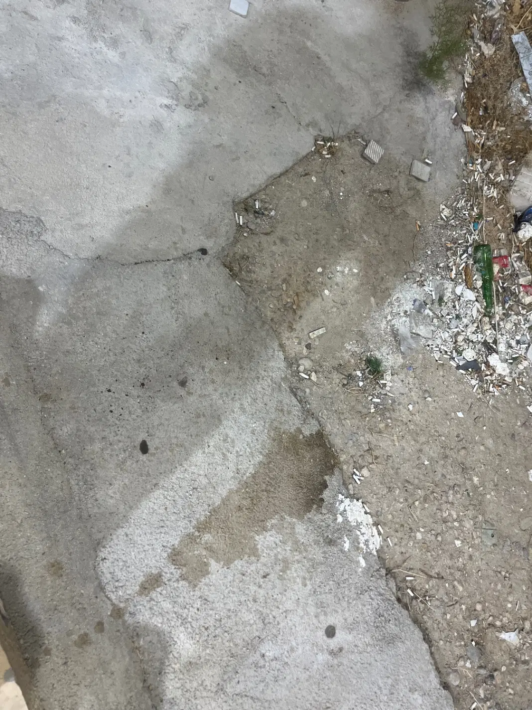 ۱۰۰گز زمین کره جبور مسکونی و باغی