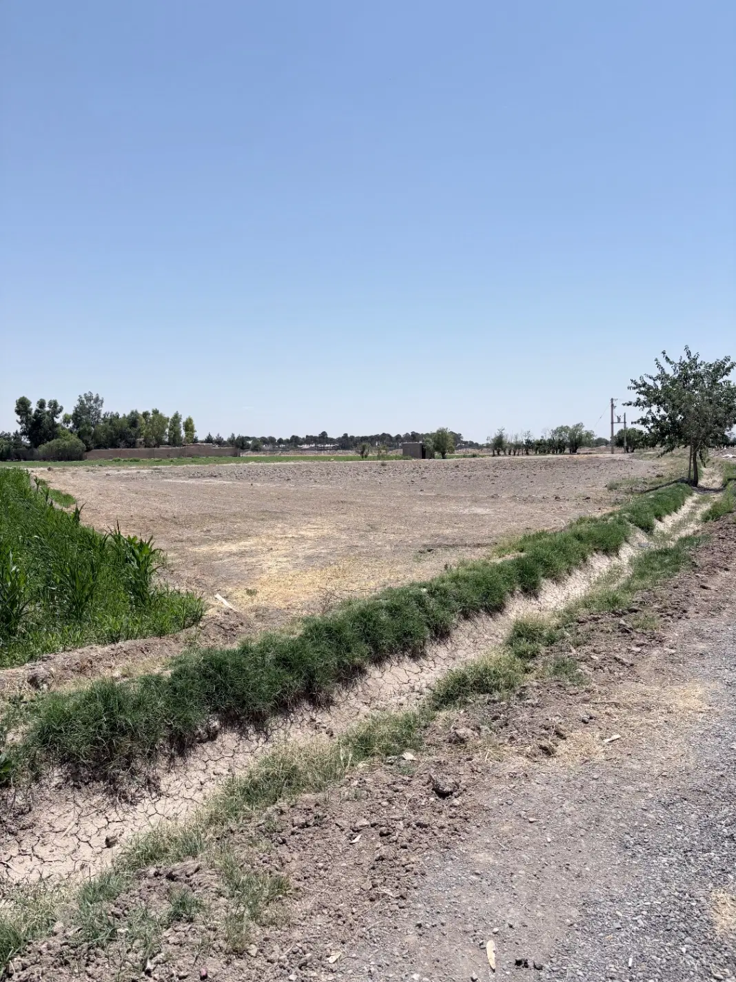 فروش زمین در دشتی
